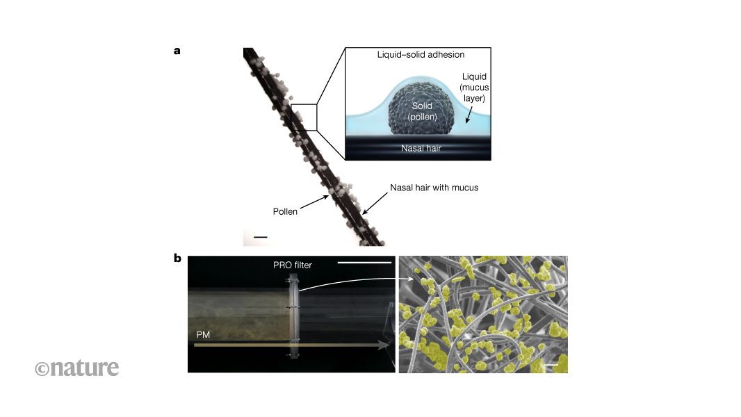 Highly efficient air filter inspired by mucus-covered nasal hair