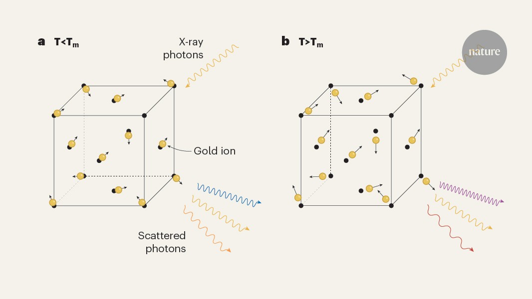 Solid gold superheated to 14 times its melting temperature