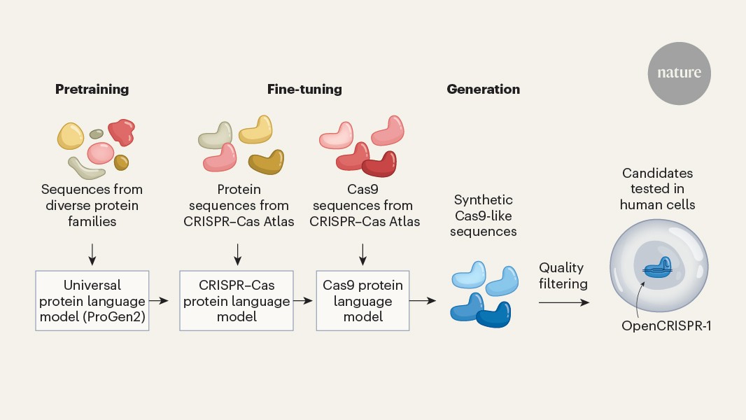 AI expands the repertoire of CRISPR-associated proteins for genome editing