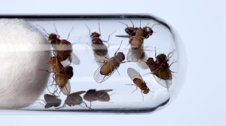 Giant study finds a research field that’s mostly reproducible