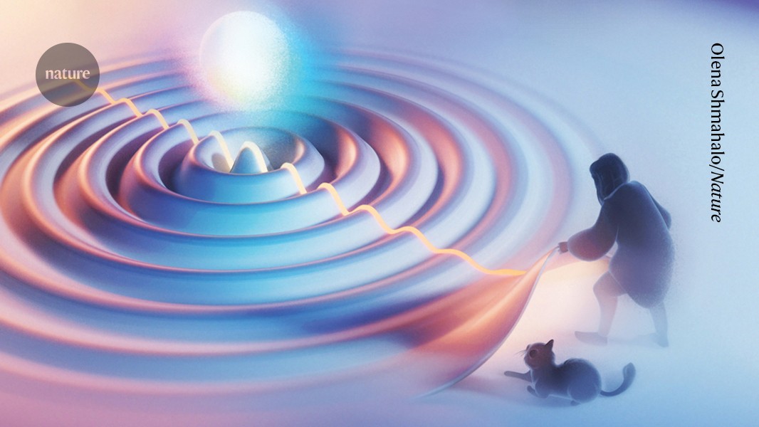 Physicists disagree wildly on what quantum mechanics says about reality, Nature survey shows