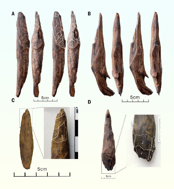 300,000-Year-Old Wooden Tools Discovered in China