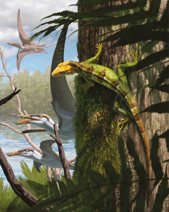 Tree-Dwelling Tuatara Relative Lived in Solnhofen Archipelago 145 Million Years Ago