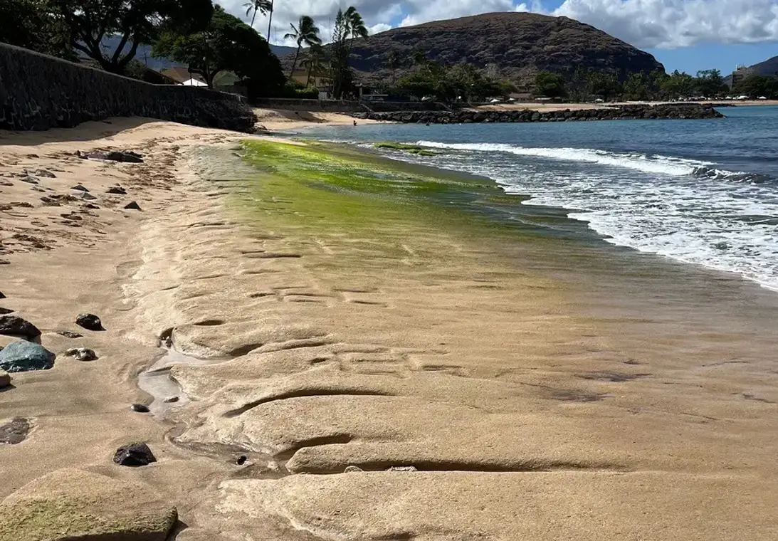 Waves reveal ancient petroglyphs on Hawaiian Island