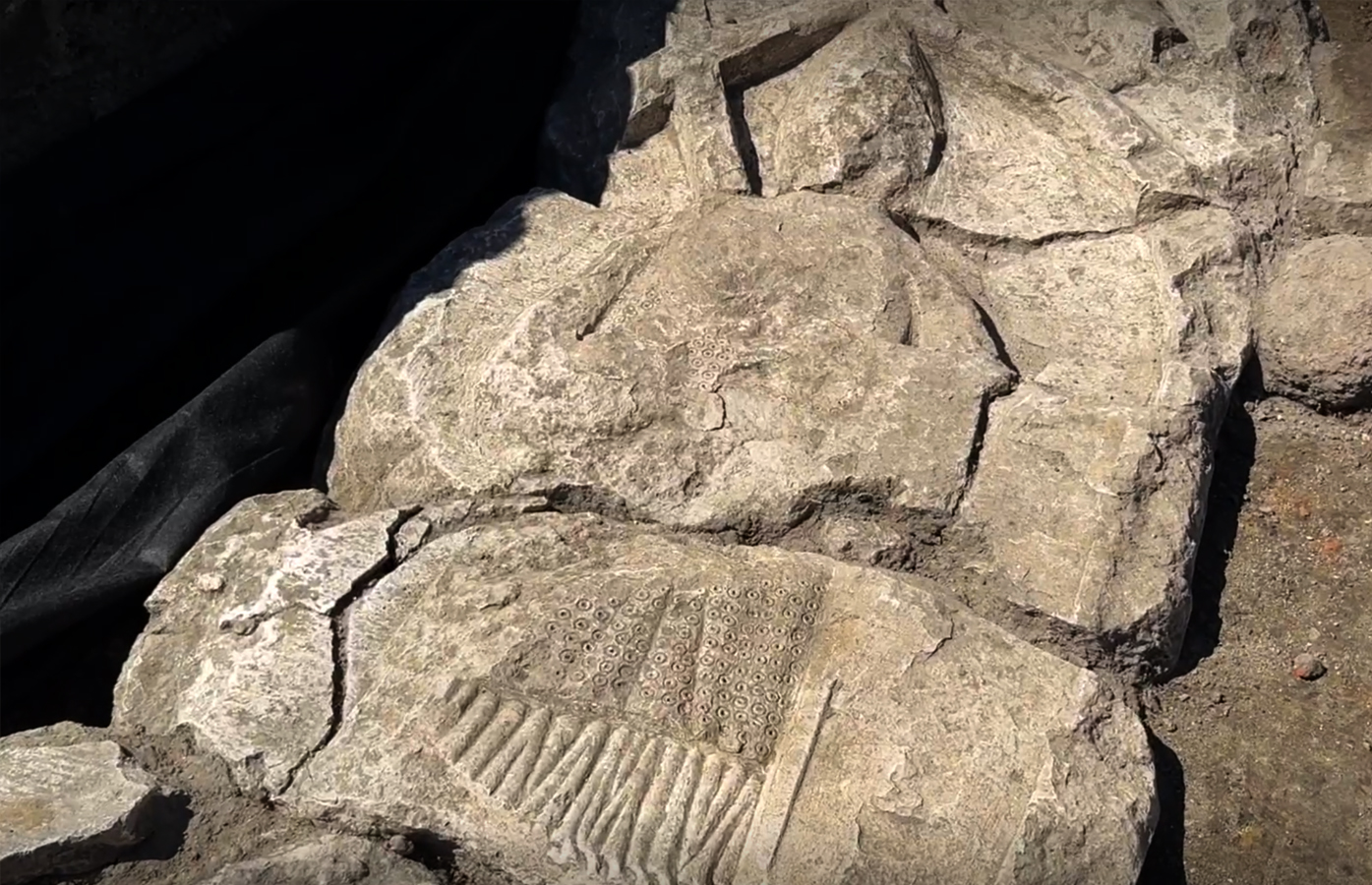 Gravestone depicting 13th century knight unearthed in central Gdańsk
