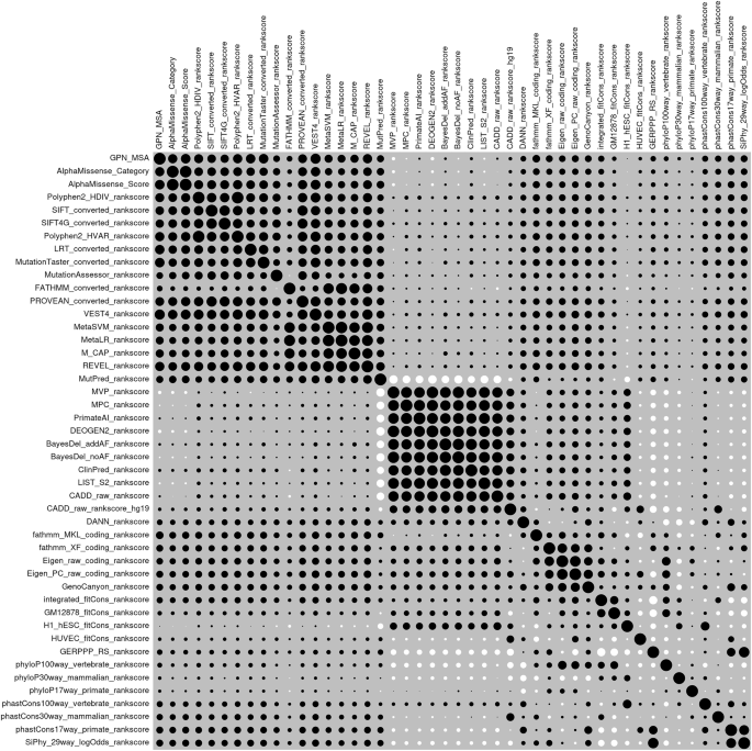 Assessment of ability of a DNA language model to predict pathogenicity of rare coding variants