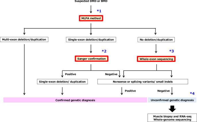 Disease-specific genetic diagnostic strategies for muscle diseases unresolved by short-read sequencing