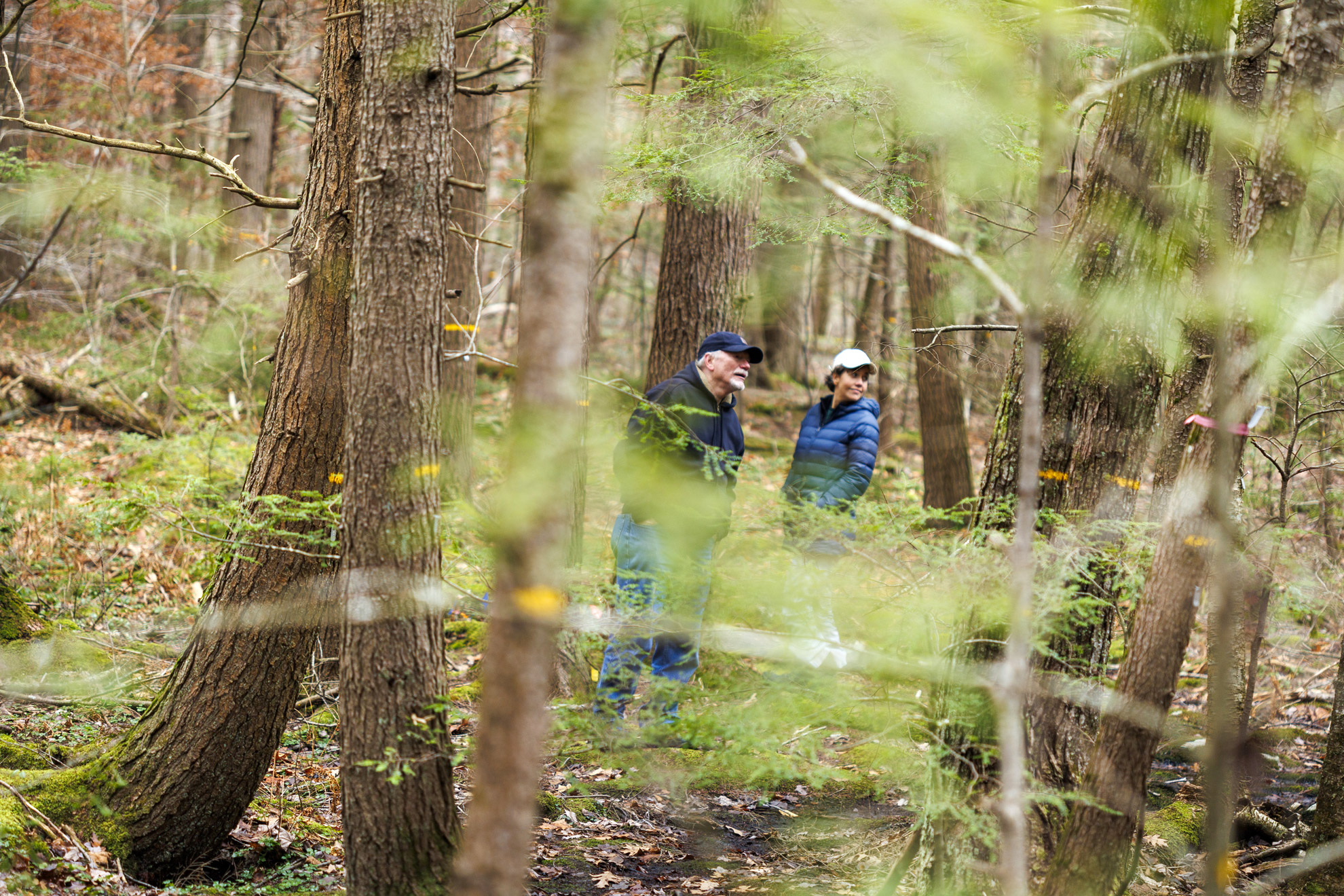 When the woods are your climate change lab — Harvard Gazette