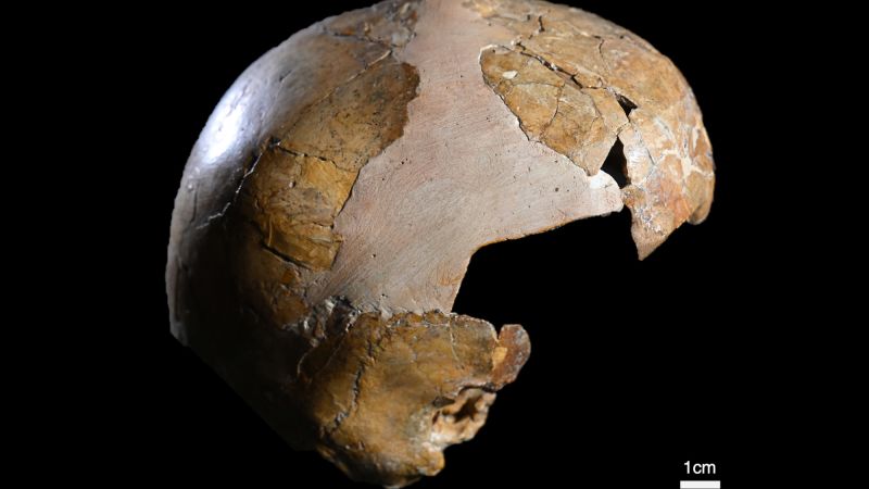 Neanderthals and Homo sapiens may have interbred 100,000 years earlier than once thought