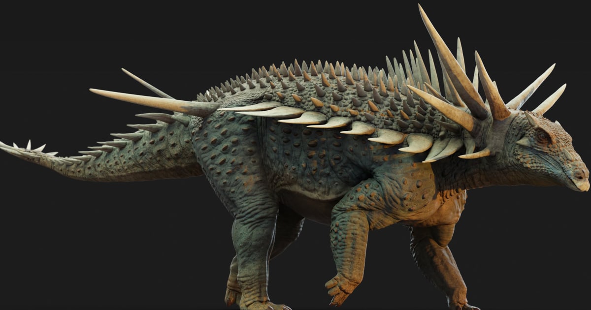 Scientists discover fossil of armored Spicomellus in Morocco