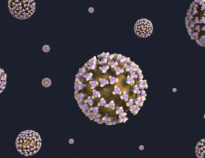 MAIT and other innate-like T cells integrate adaptive immune responses to modulate interval-dependent reactogenicity to mRNA vaccines | Science Immunology
