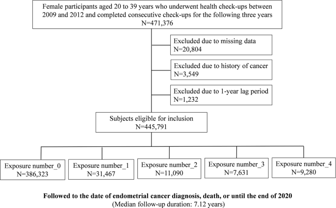 Cumulative abdominal obesity exposure and progressive risk of endometrial cancer in young women: a nationwide cohort study
