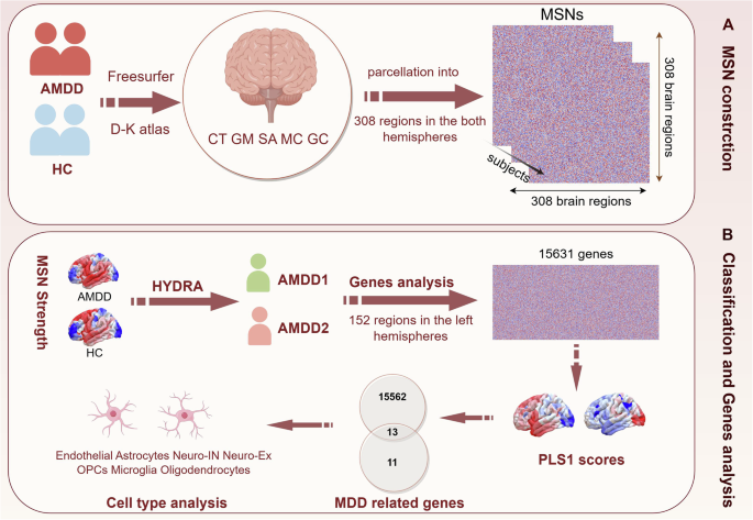 Neurobiological subtypes of adolescent depression: a multimodal integration of morphometric similarity network and spatial transcriptomics
