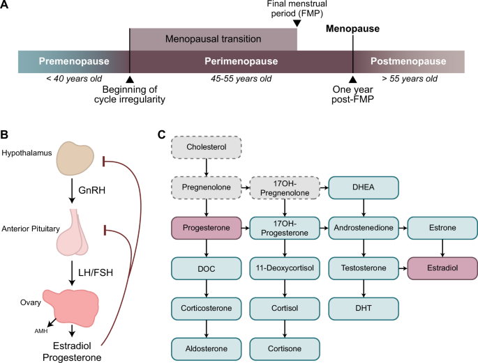 Postmortem tissue biomarkers of menopausal transition