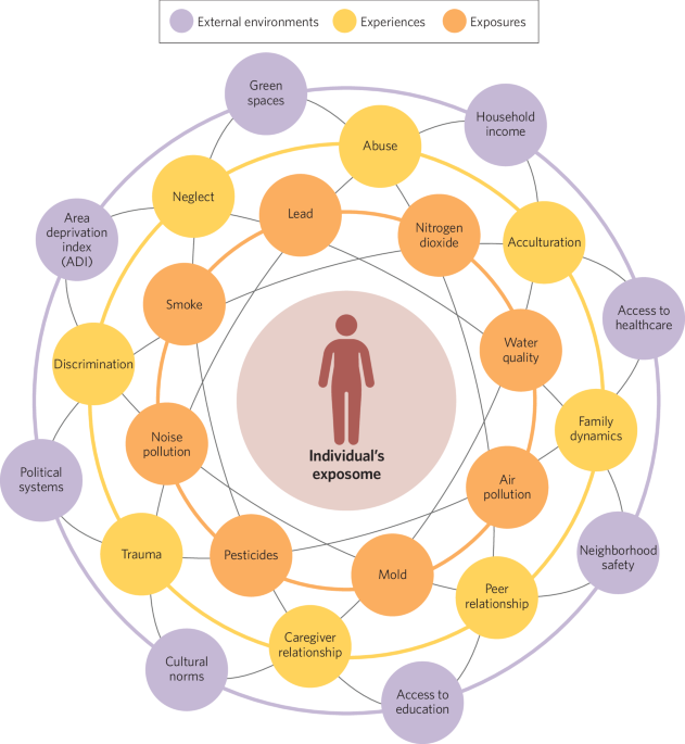The effect of the “exposome” on developmental brain health and cognitive outcomes
