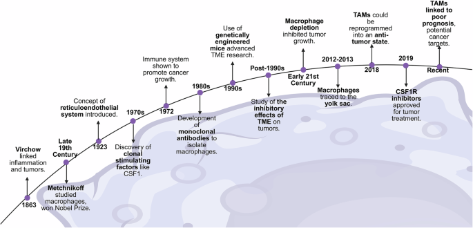 Dual roles and therapeutic targeting of tumor-associated macrophages in tumor microenvironments