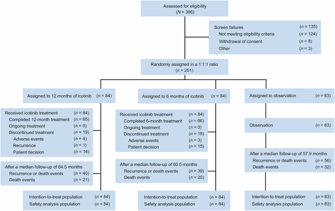 Adjuvant icotinib for resected EGFR-mutated stage II–IIIA non-small-cell lung cancer (ICTAN, GASTO1002): a randomized comparison study