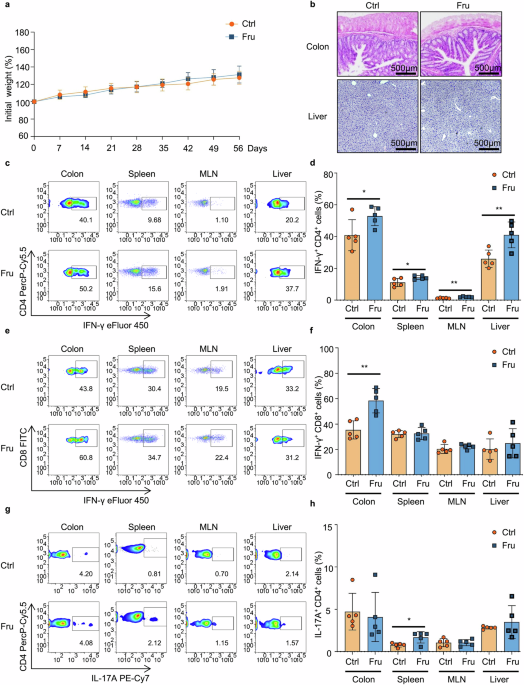 High fructose consumption aggravates inflammation by promoting effector T cell generation via inducing metabolic reprogramming