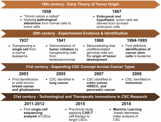 Cancer stem cells: landscape, challenges and emerging therapeutic innovations