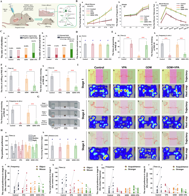 Prenatal valproic acid on the basis of gestational diabetes also induces autistic behavior and disrupts myelination and oligodendroglial maturation slightly in offspring
