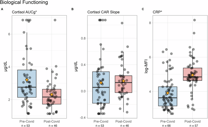 The effects of the COVID-19 pandemic on neurobiological functioning in adolescents