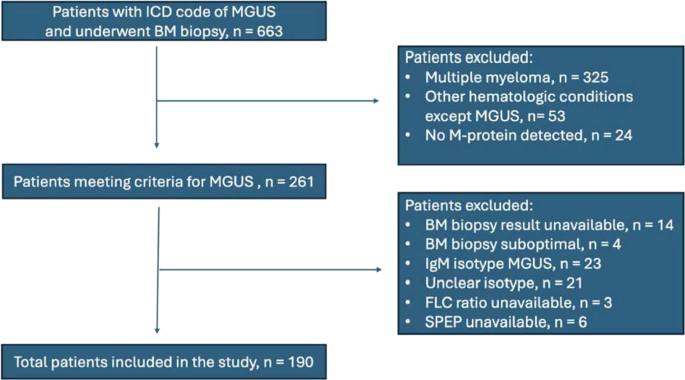 Assessing the performance of the Iceland screens, treats, or prevents multiple myeloma (iStopMM) model in a multicultural Bronx cohort: implications for monoclonal gammopathy of undetermined significance risk stratification