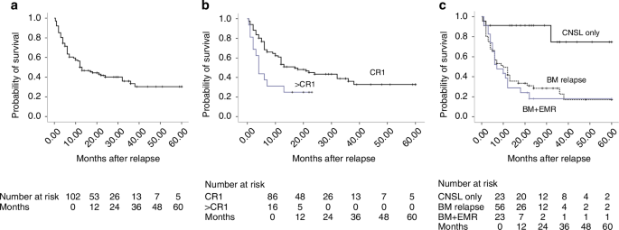 Long-term survival in patients with Philadelphia-chromosome-positive acute lymphoblastic leukemia who relapse after allogeneic hematopoietic stem cell transplantation: a single-center experience