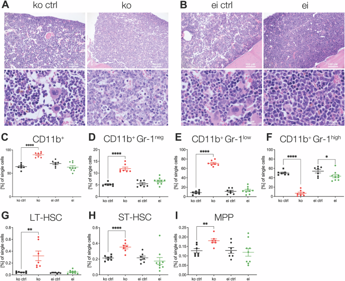 Lysine-specific demethylase 1 regulates hematopoietic stem cell expansion and myeloid cell differentiation
