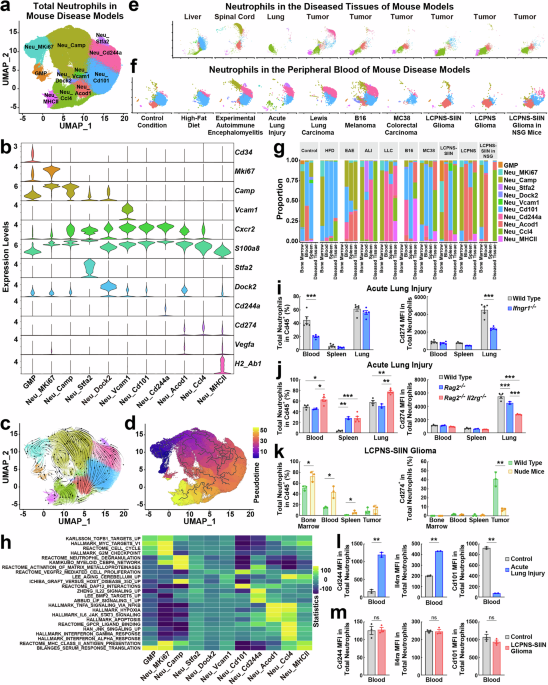 Common signatures of neutrophils in diverse disease conditions