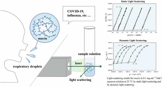 Structural characterization of mucin in aqueous solution by static and dynamic light scattering measurements