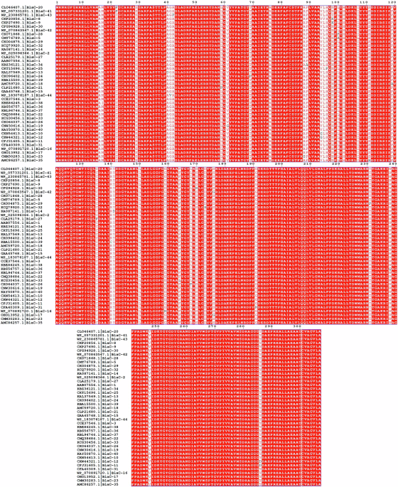 Strategic design of a multi-tier database for class A β-lactamase BlaC variants of M. tuberculosis: advancing the fight against antibacterial resistance