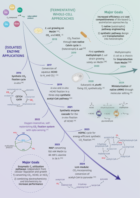 Industrial applicability of enzymatic and whole-cell processes for the utilization of C1 building blocks