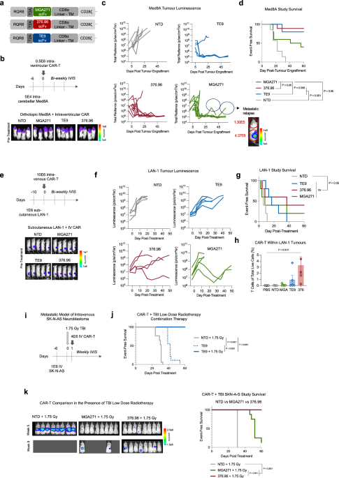 Functional avidity of anti-B7H3 CAR-T constructs predicts antigen density thresholds for triggering effector function