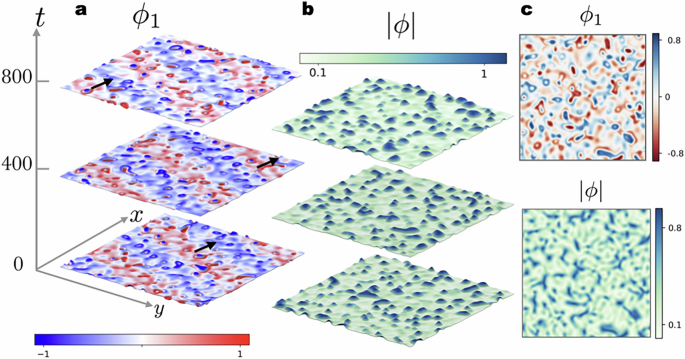 Effervescence in a binary mixture with nonlinear non-reciprocal interactions