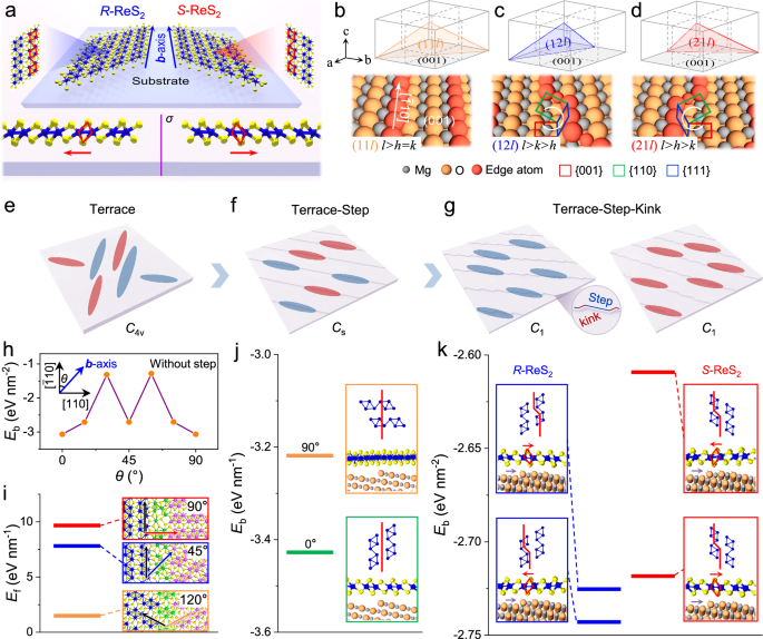 Chirality-transferred epitaxy of circular polarization-sensitive ReS2 monolayer single crystals