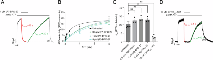 Structure of CFTR bound to (R)-BPO-27 unveils a pore-blockage mechanism