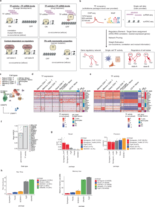 Epiregulon: Single-cell transcription factor activity inference to predict drug response and drivers of cell states