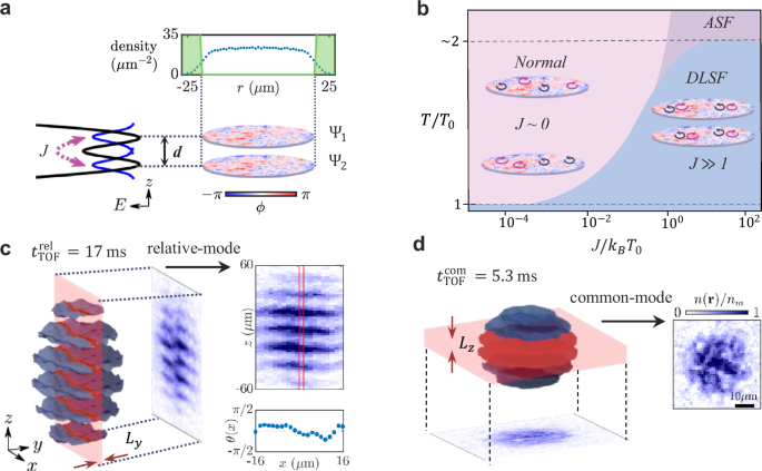Observation of a bilayer superfluid with interlayer coherence