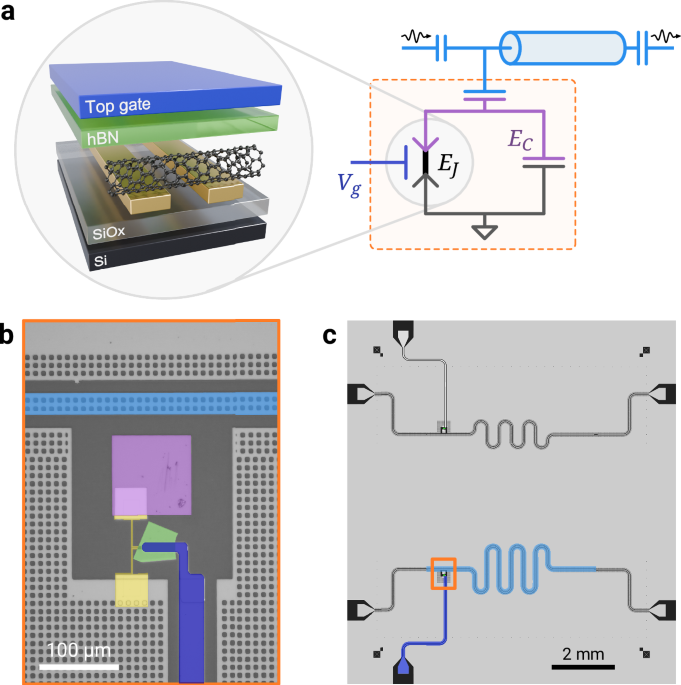 The carbon nanotube gatemon qubit