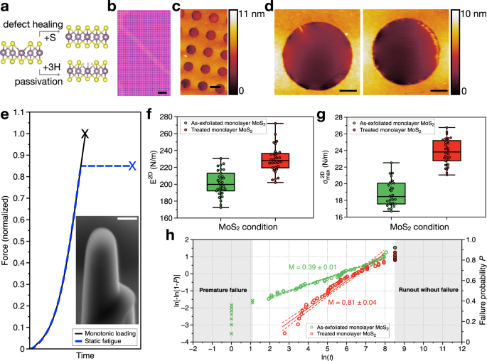Mechanically reliable and electronically uniform monolayer MoS2 by passivation and defect healing