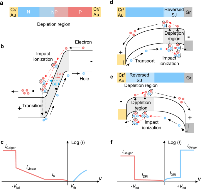 Bilateral Geiger mode avalanche in InSe Schottky photodiodes