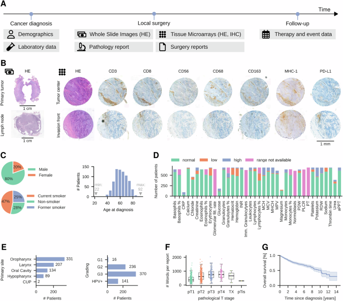 A multimodal dataset for precision oncology in head and neck cancer