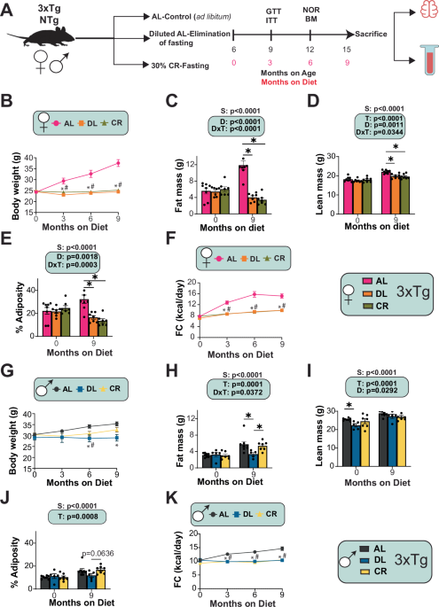 Fasting is required for many of the benefits of calorie restriction in the 3xTg mouse model of Alzheimer’s disease