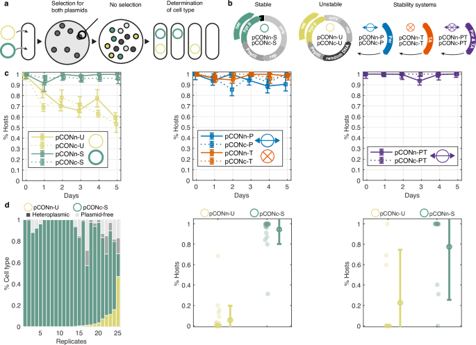 The combination of active partitioning and toxin-antitoxin systems is most advantageous for low-copy plasmid fitness