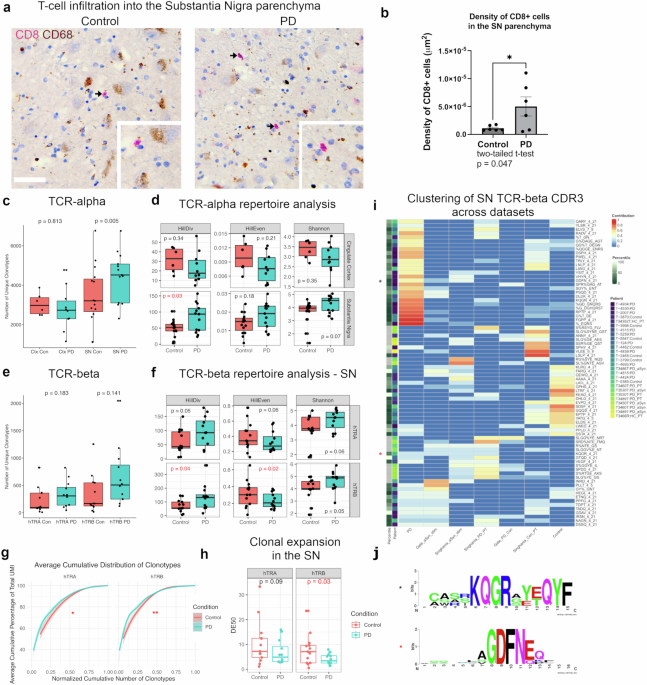 The spatial landscape of glial pathology and T cell response in Parkinson’s disease substantia nigra