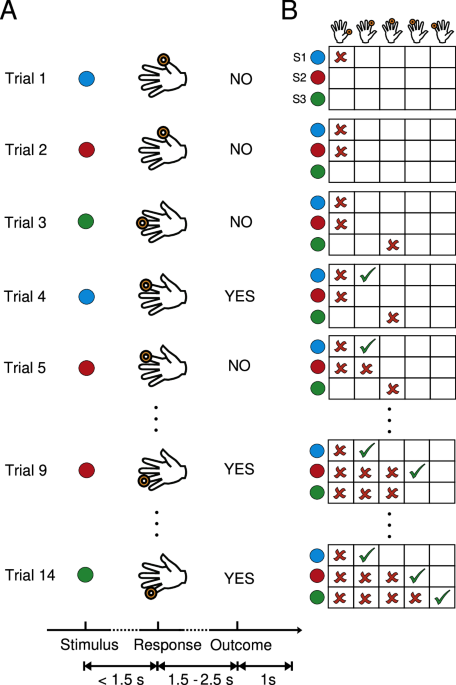 Higher-order and distributed synergistic functional interactions encode information gain in goal-directed learning