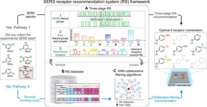 Chemistry-informed recommender system to predict optimal molecular receptors in SERS nanosensors