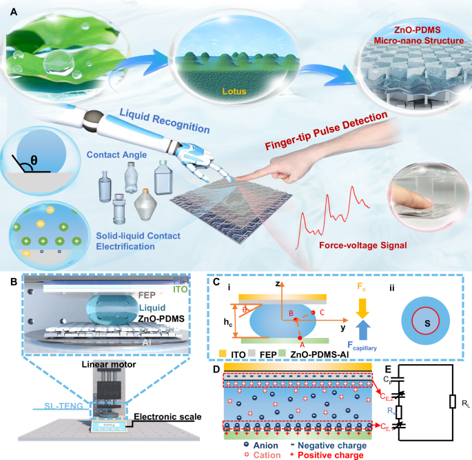 Mechanical–electric dual characteristics solid–liquid interfacing sensor for accurate liquid identification