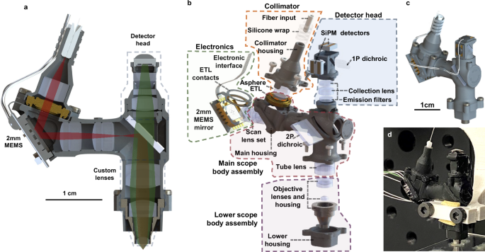 Open-source, high performance miniature 2-photon microscopy systems for freely behaving animals