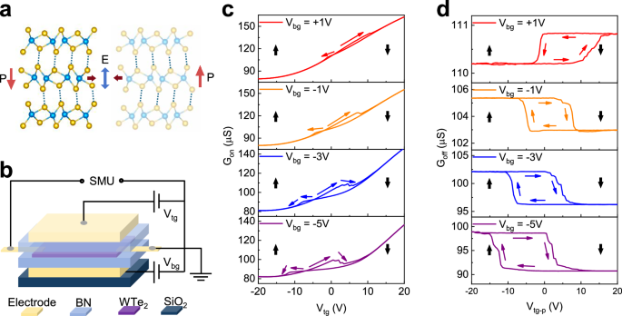 Sub-nanosecond polarization switching with anomalous kinetics in vdW ferroelectric WTe2